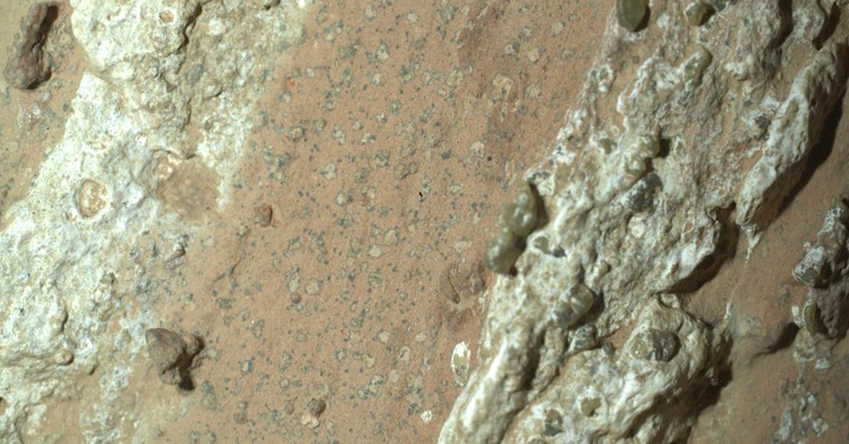 NASA Is ‘Highly Confident’ There’s Life on Mars