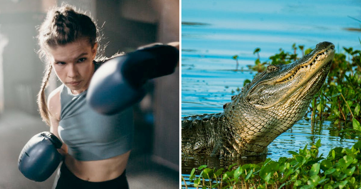 Florida Woman Punches Out Alligator to Save Her Dog
