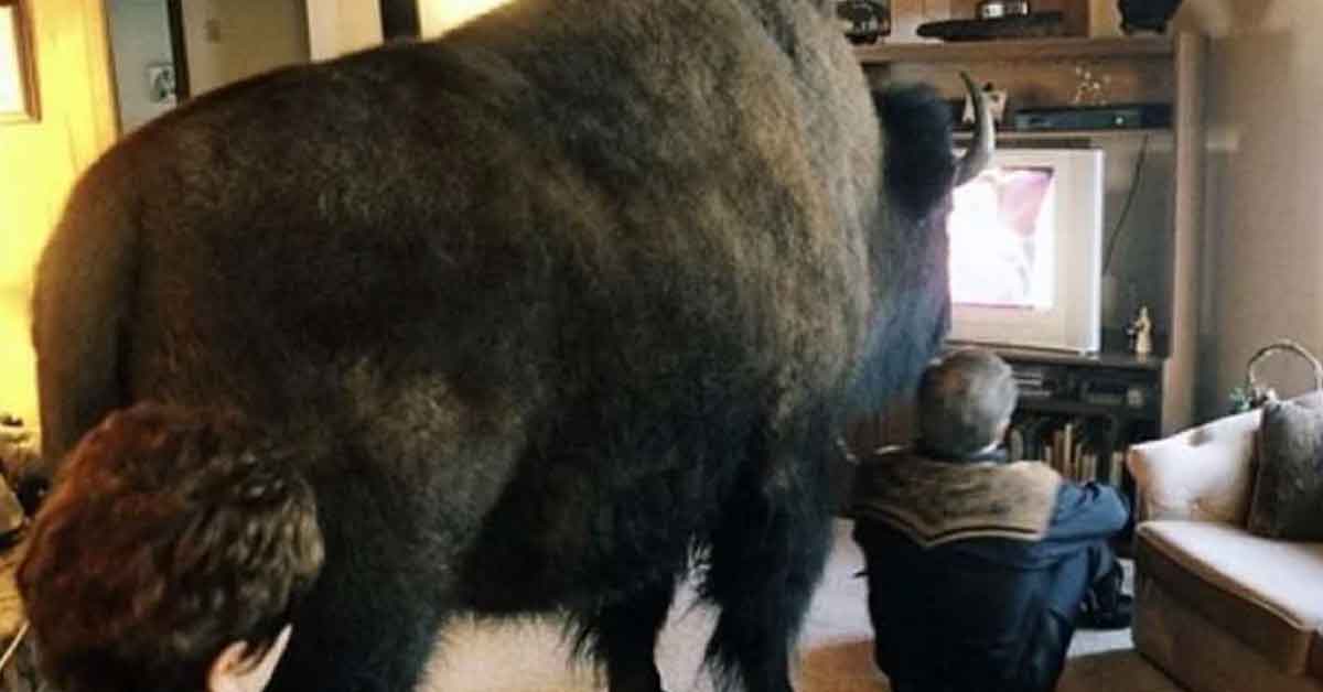 Photos With Something Massive Out Of Place