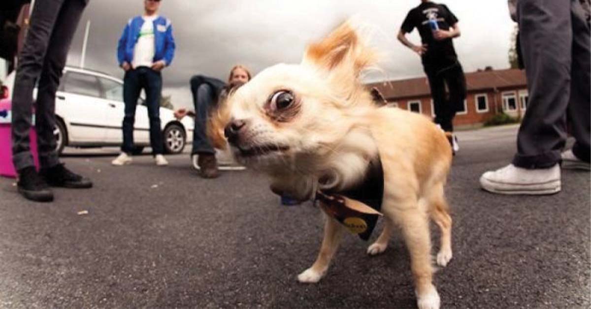 One Of A Kind Photos From Our One Of A Kind Megamind