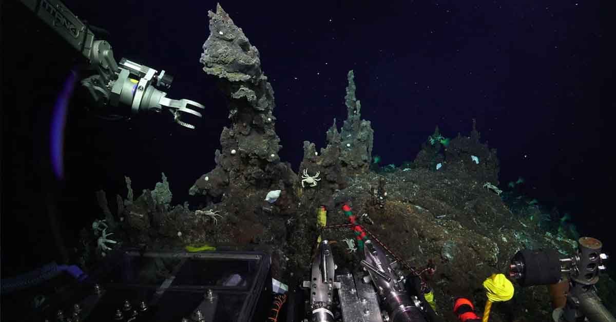 Scary Facts From the Depths of the Mariana Trench