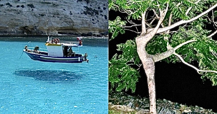 Brain-Scrambling Optical Illusions In Nature 