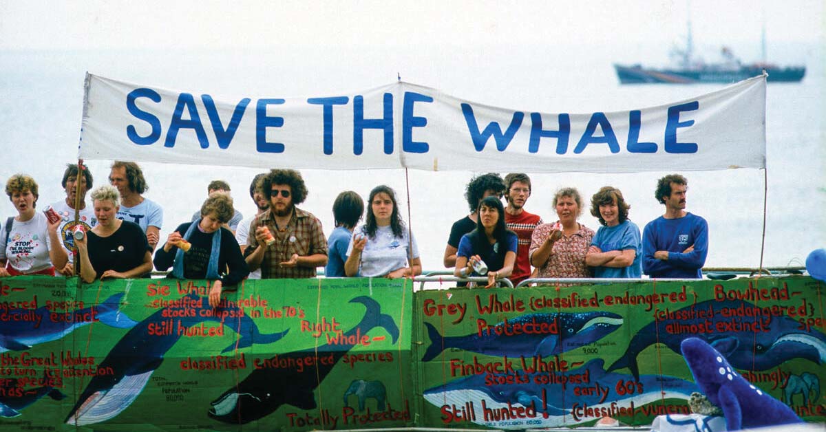 ’70s and ’80s Photos of Greenpeace Going All Out