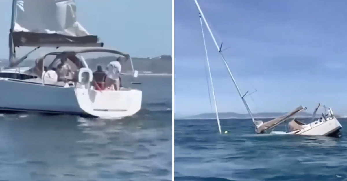 Orcas Are Sinking Yachts Again