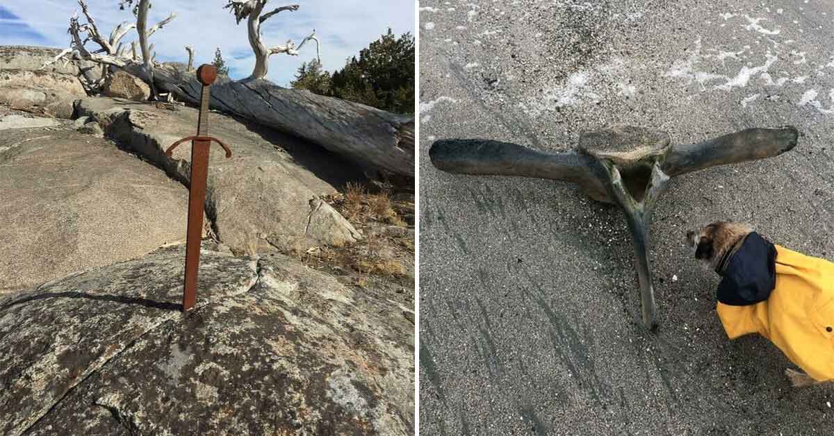 Unexpected Lucky Finds Made By Ordinary Folks