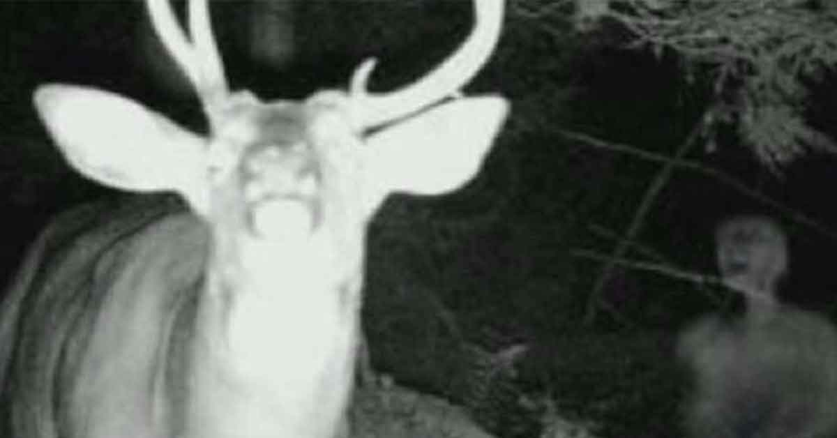 Paranormal Photos and Stories That Have Our Attention