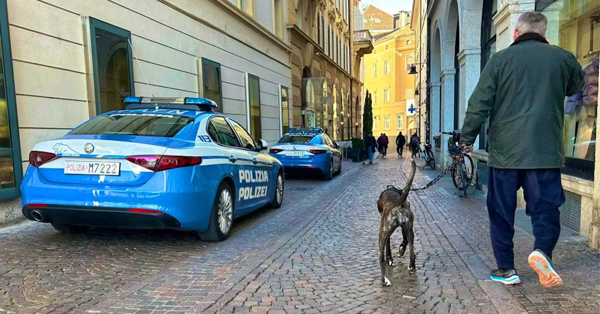 Italy Is Imposing a Tax on People Traveling With Dogs