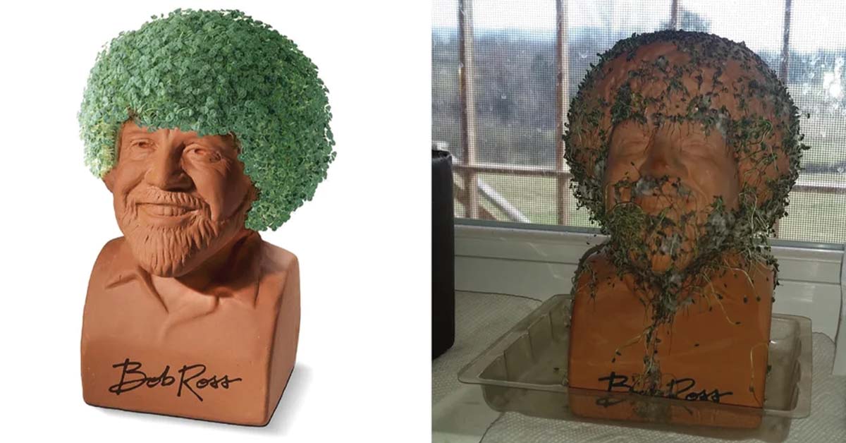 Times When Expectation Completely Didn’t Meet Reality