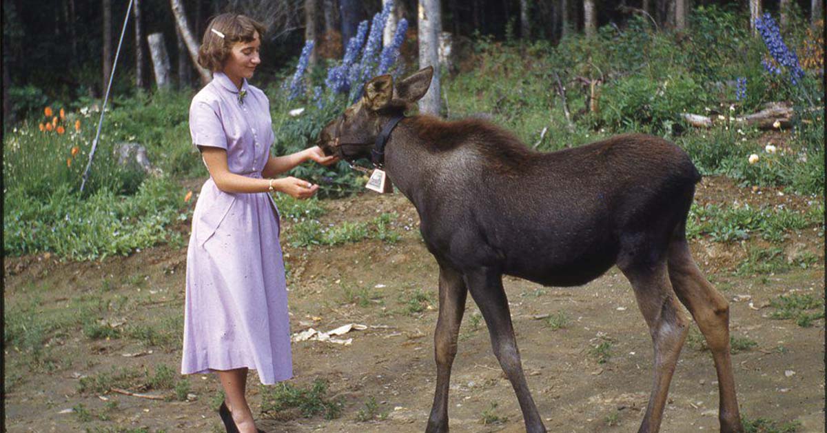 Nostalgic Photos From Much Simpler Times