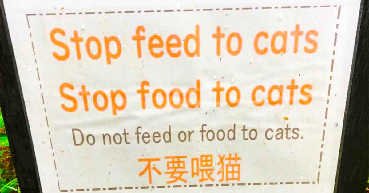 Times Someone Desperately Needed a Proofreader
