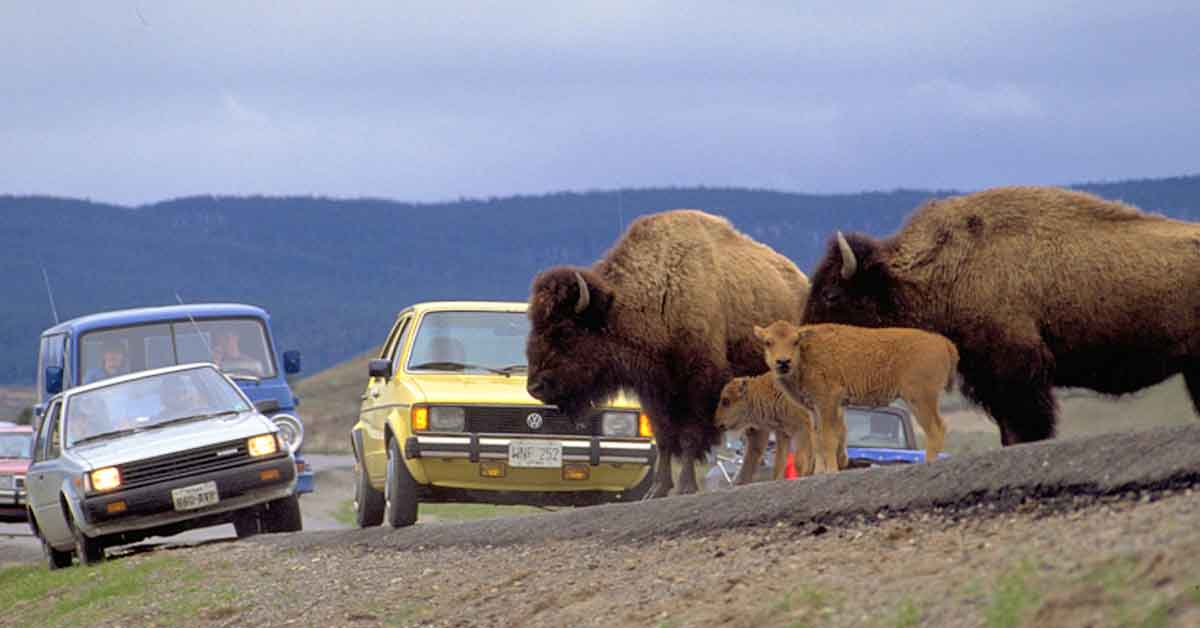 Classic Photos of Nature That Sadly No Longer Exists