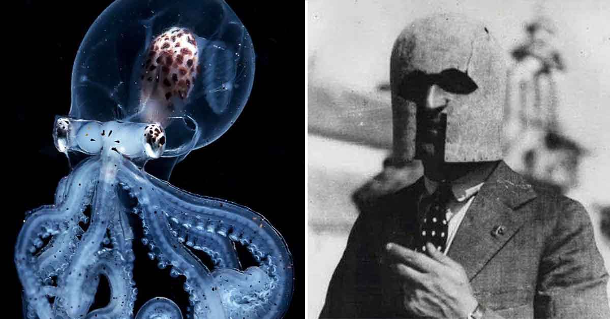 Fascinating Photos That Stuck in Our Mind