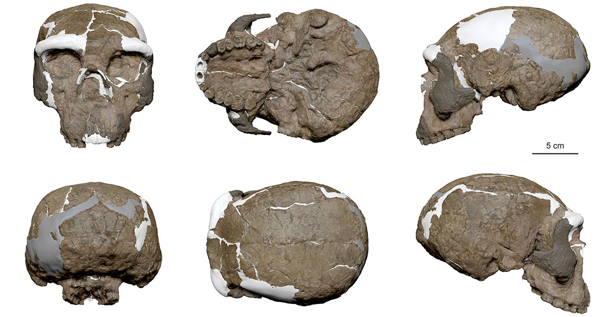 New Discovery Claims Every Human Being Might Be Chinese