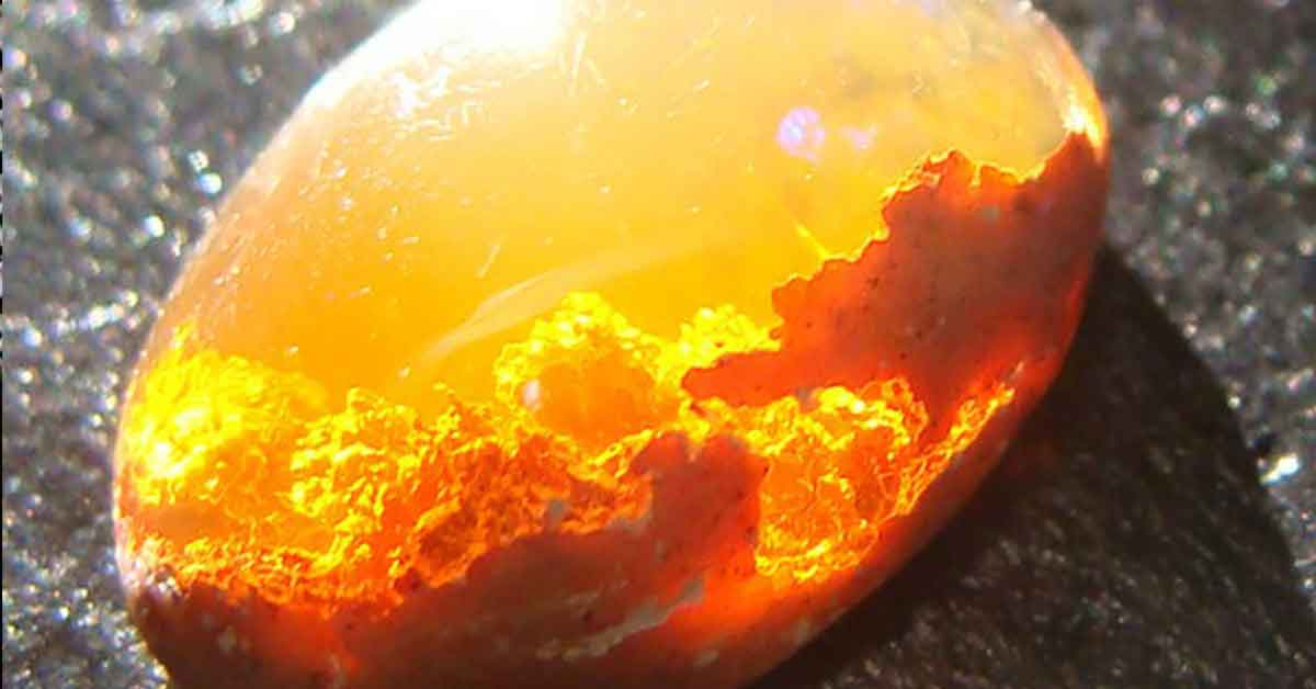 Fun Photos of Things That Are Plain Fascinating to See