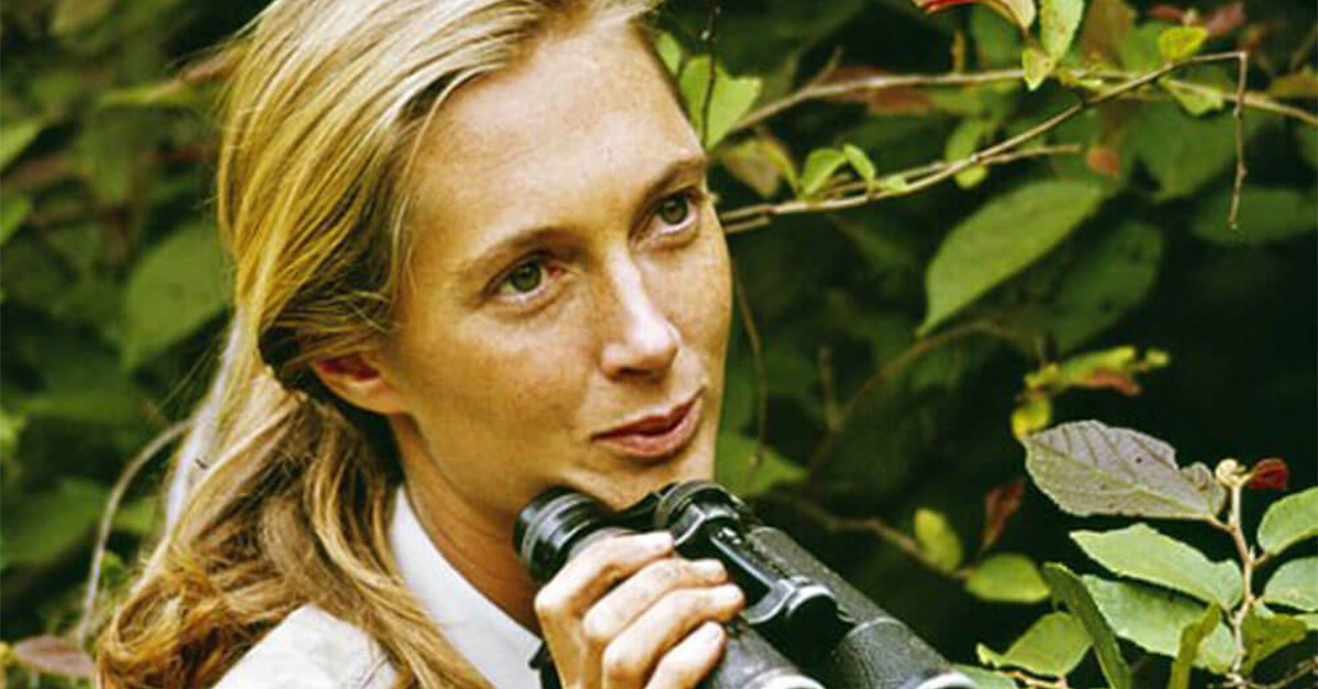 Jane Goodall Never Ruled Out the Possibility of Bigfoot