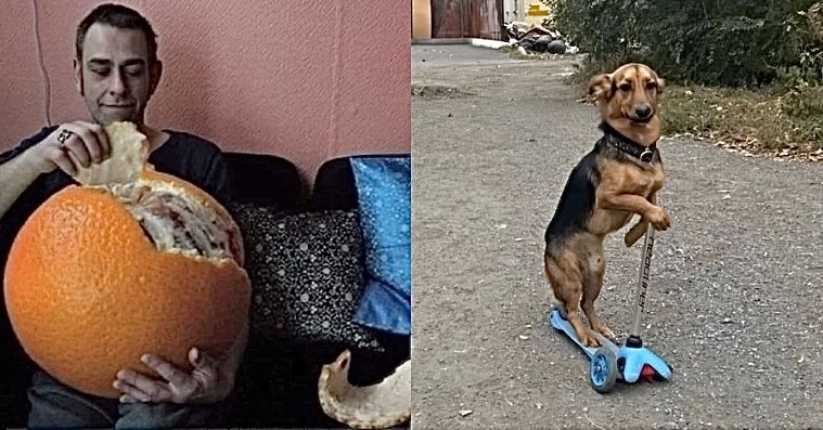 Random Photos That Rocket Across Space And Time