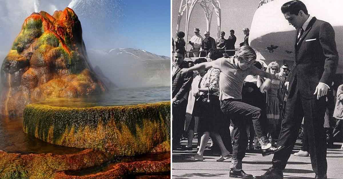 Engaging Images to Get Your Brain Going