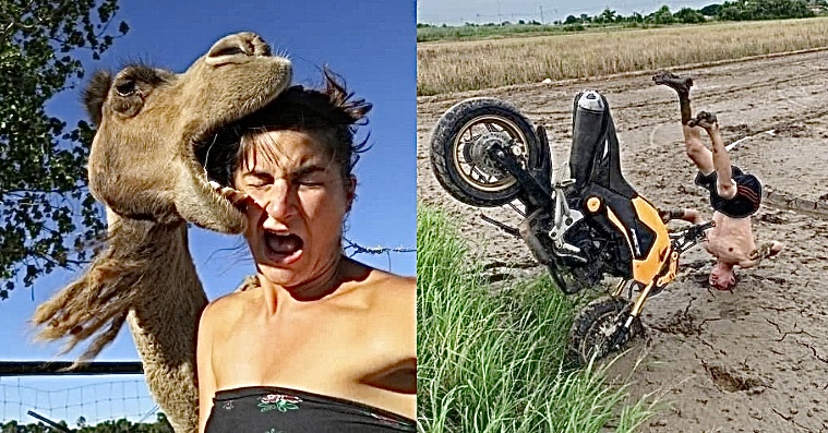 Photos Where People Had Better Run