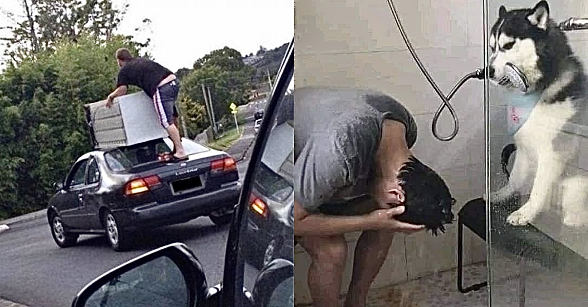 Photos Where Somebody Lost Their Marbles