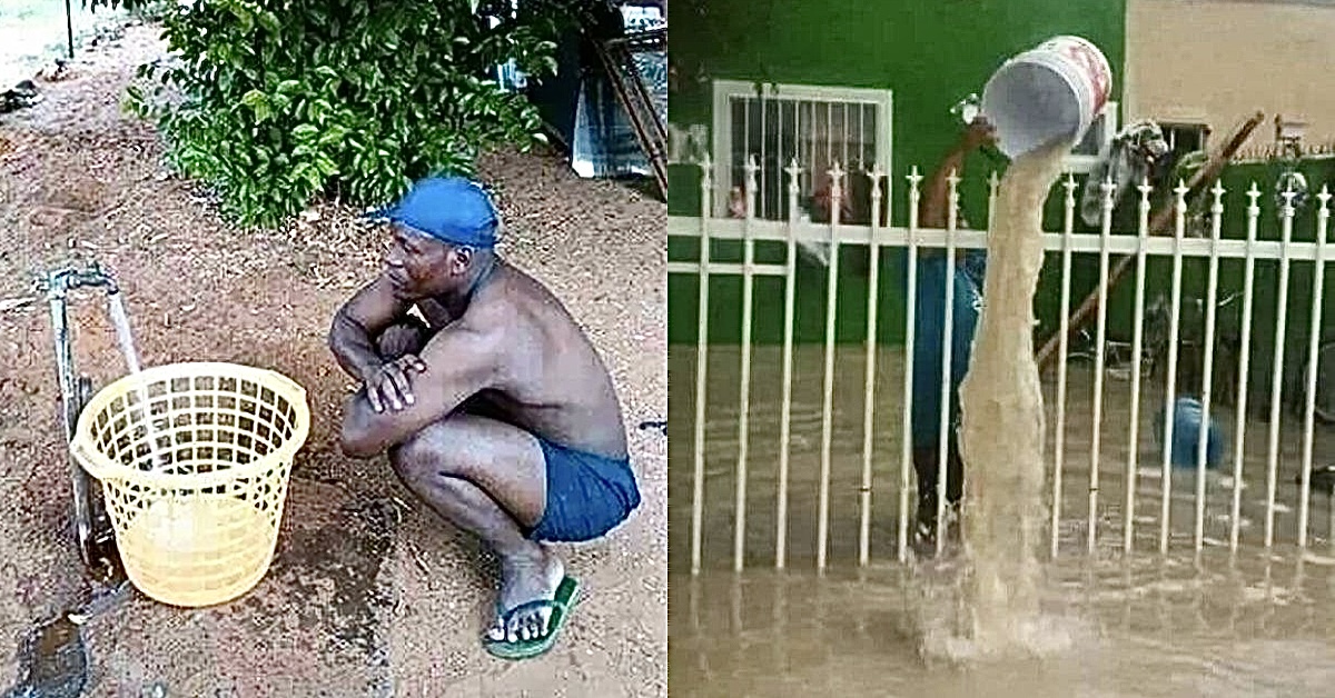 Folks So Far From Having A Clue They Never Will