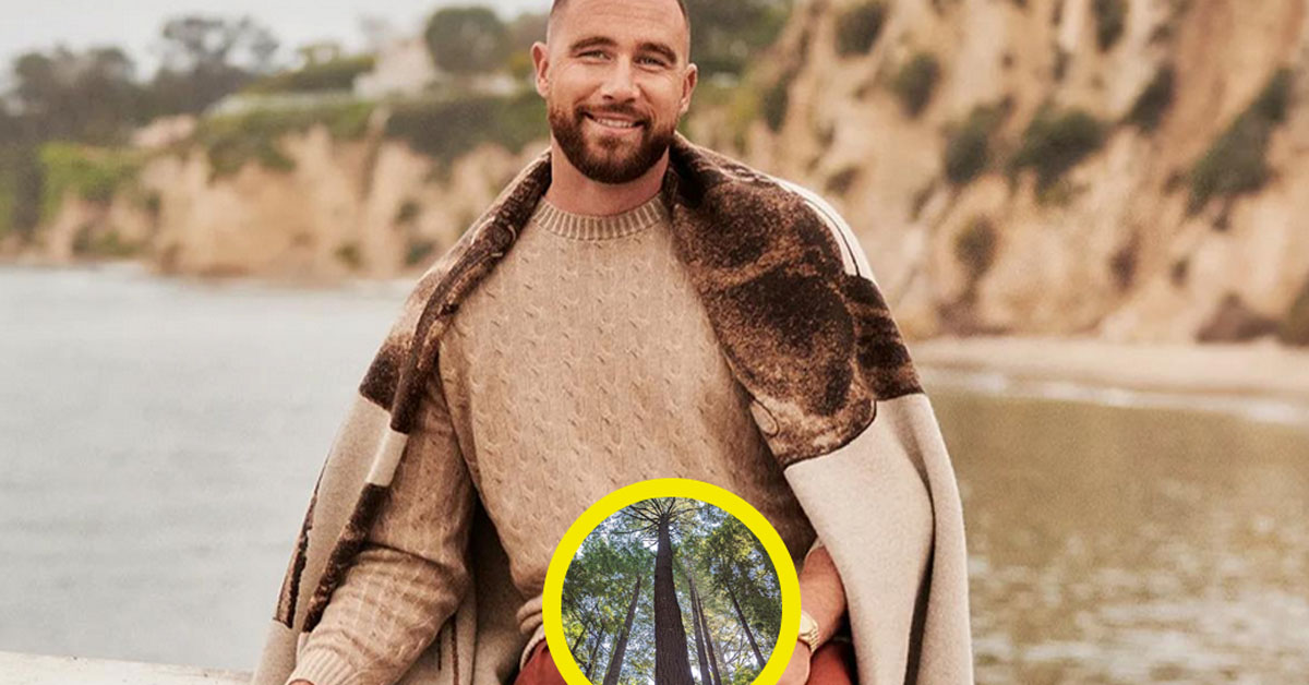 After Taylor Swift Album Release, Kelce Brothers Deny Travis’ Hog is the Size of a Redwood Tree