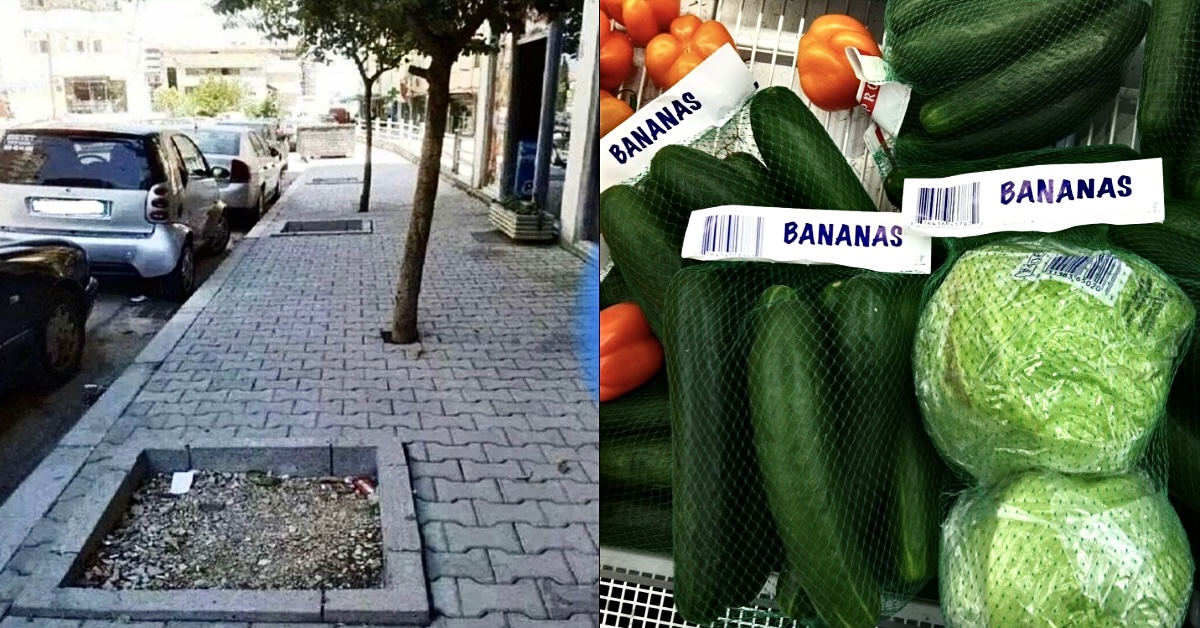 People Who Had One Job And Still Flunked The Tutorial