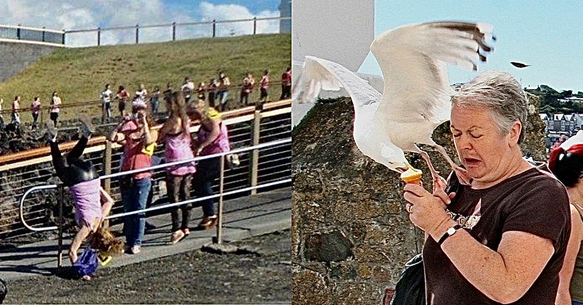 Photos Where Somebody Got The Short End Of The Stick