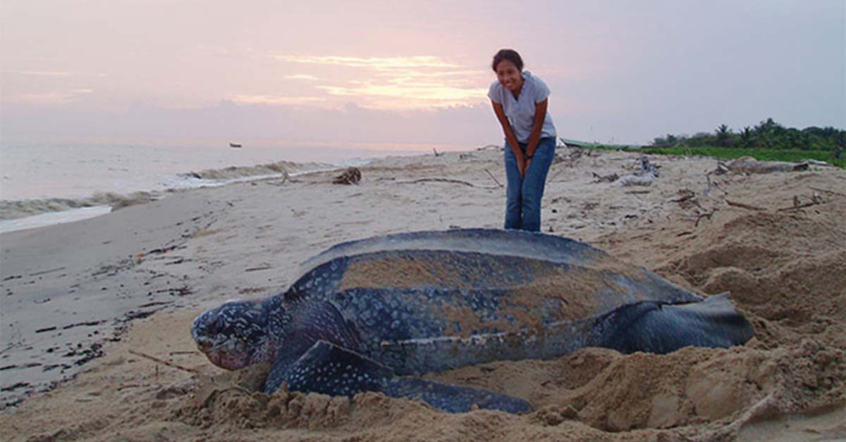 20 Photos Where People Look Pocket-Sized