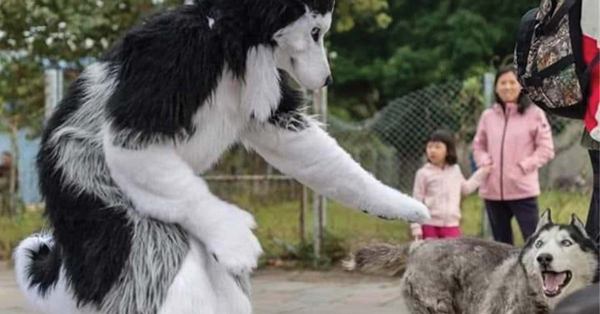 20 Photos That Caused Reality To Reboot