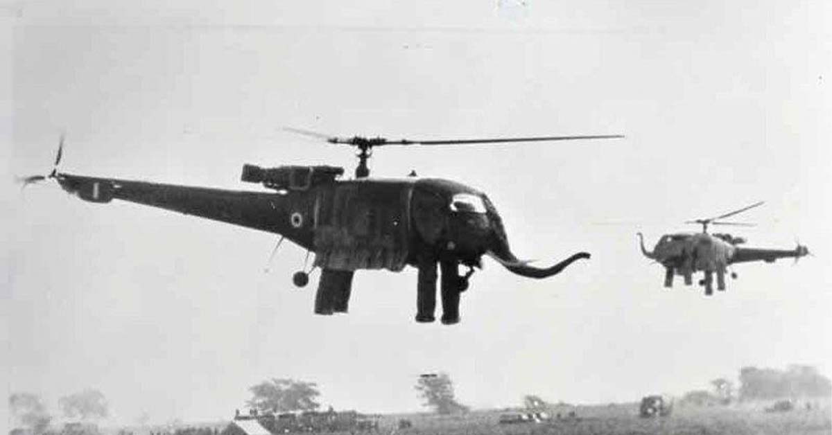 20 Things That Probably Shouldn't Be Airborne