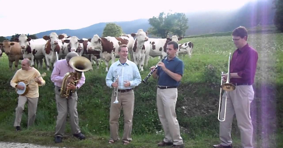 There's Actually a Scientific Reason for Why Cows Love Jazz 
