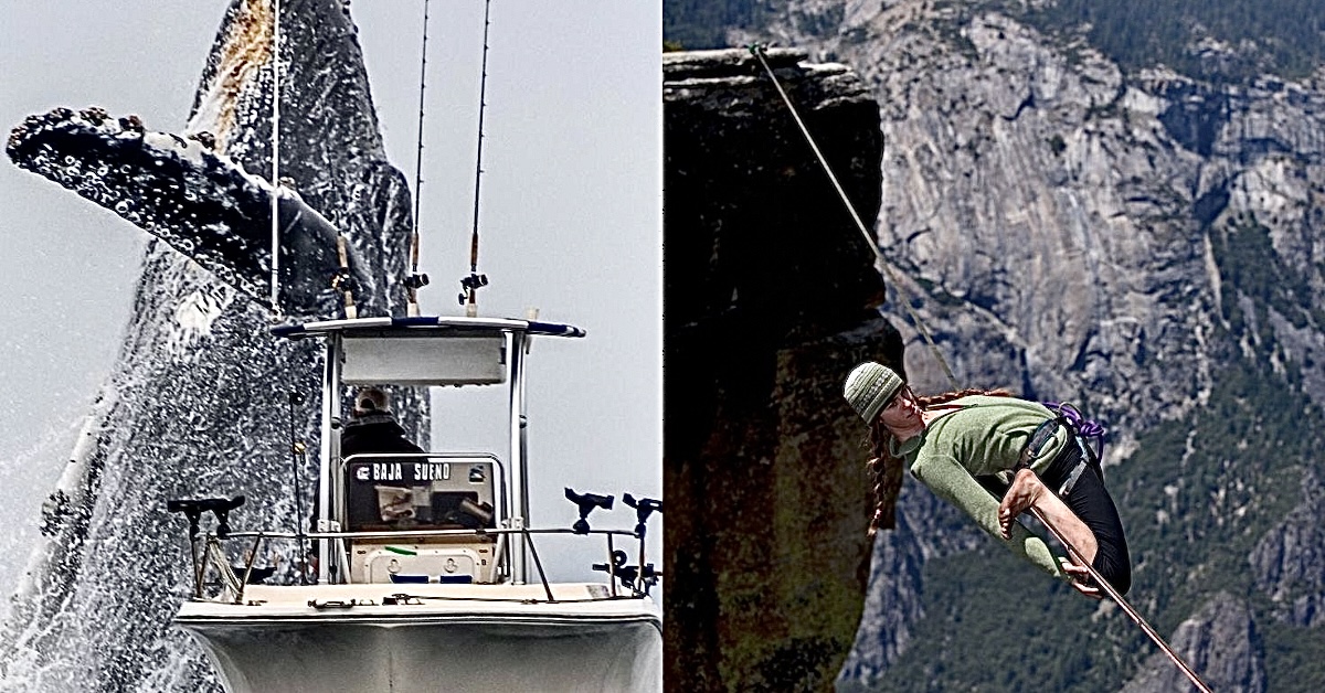 Photos That Probably Can't Rock Much Harder