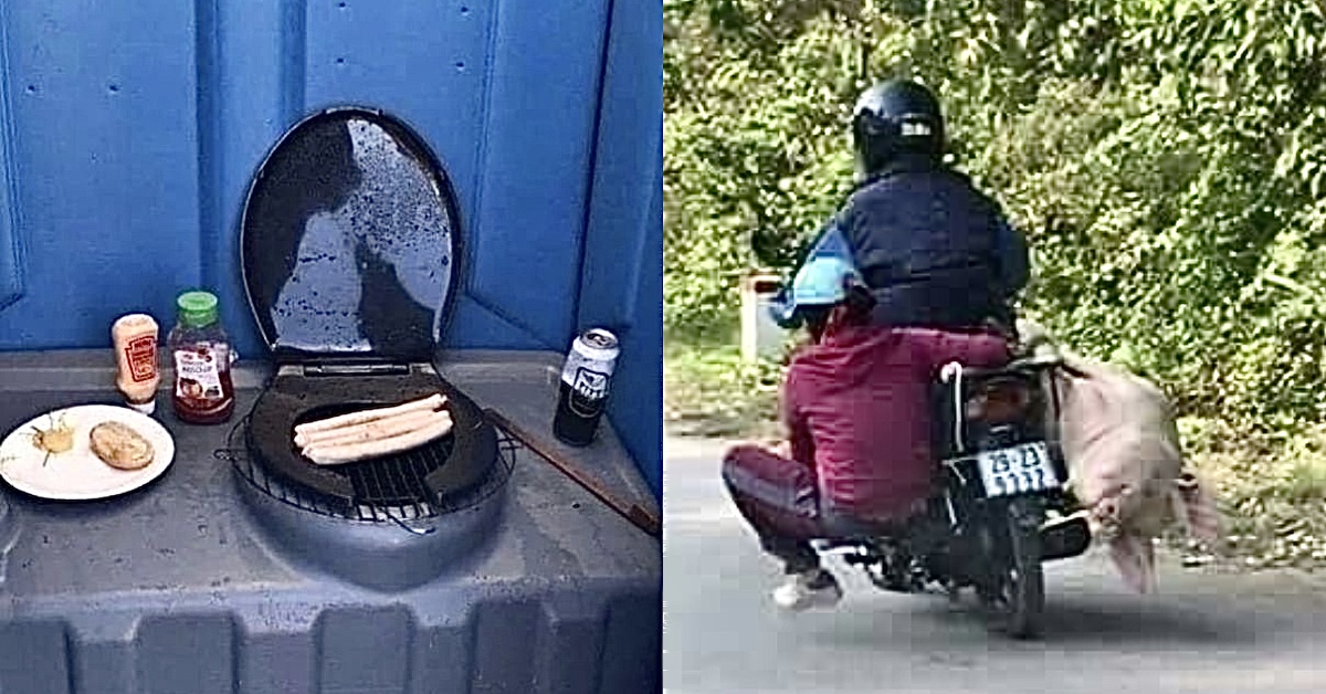 Moments So Unhinged, Even Reality Checked Out