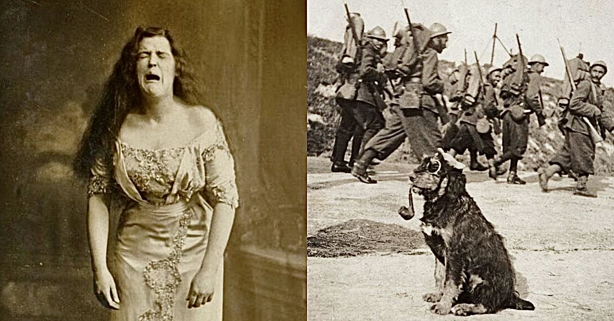 Photos That Have Their Hands Raised In History Class