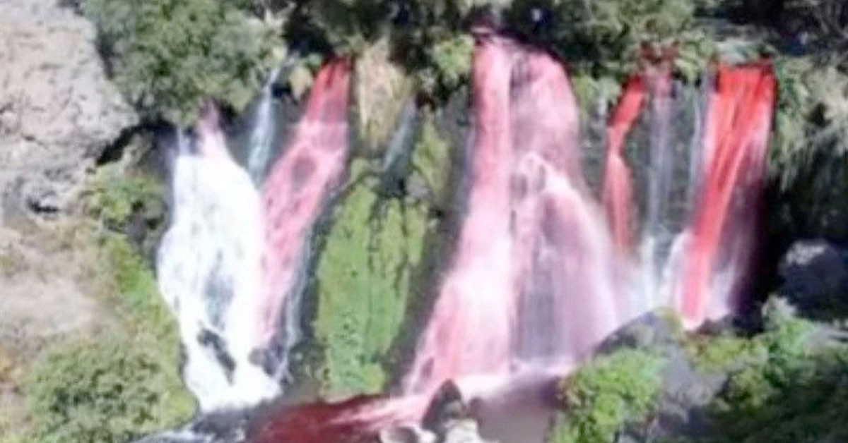 Couple Fined After Dyeing Waterfall Pink for Gender Reveal