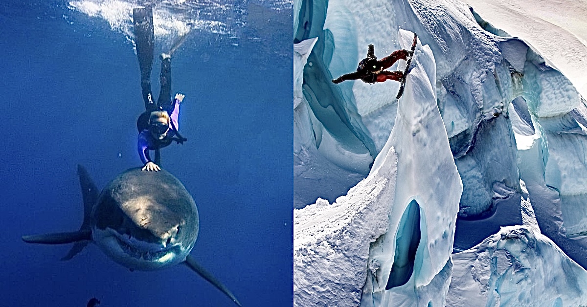 Photos That Won't Take 'No' For An Answer