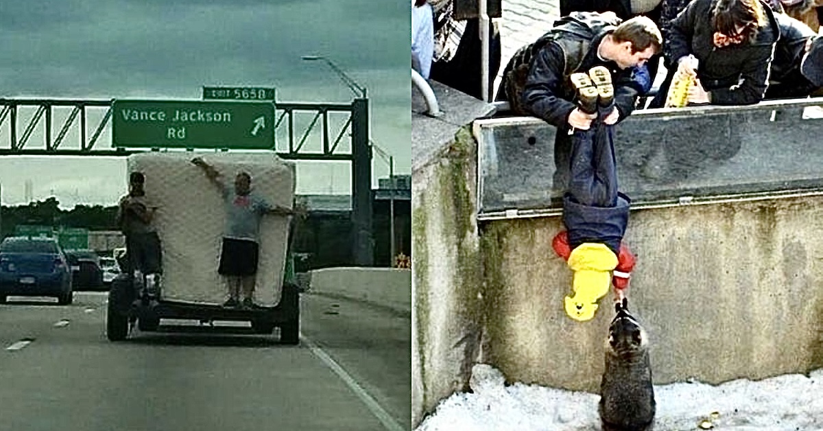 Photos Where No One Stopped To Think