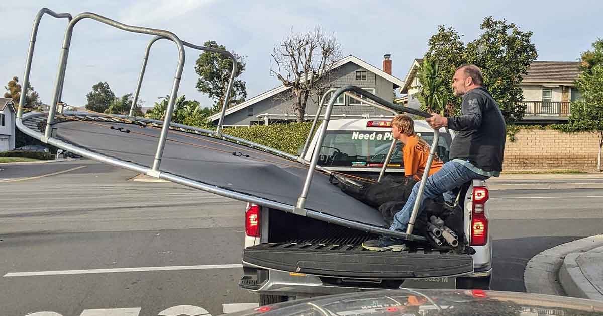 20 Photos Where It's Clear Mayhem Is In Charge