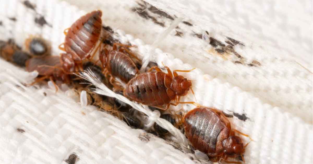 20 Freaky Facts You'd Sooner Not Remember