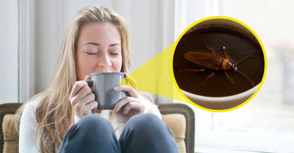 People Are Finding Out Coffee Pods Contain Ground-Up Cockroaches, and They’re Not Happy