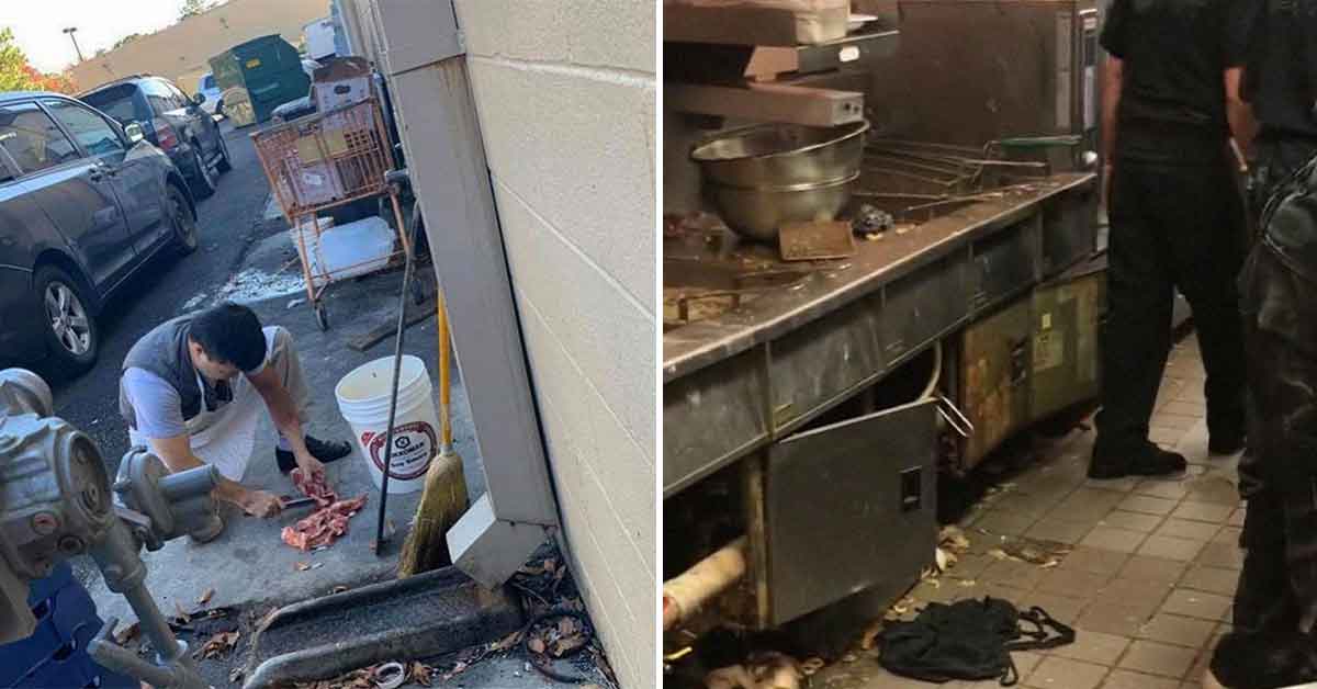 Restaurant Scenes With a Health Inspection Needed ASAP