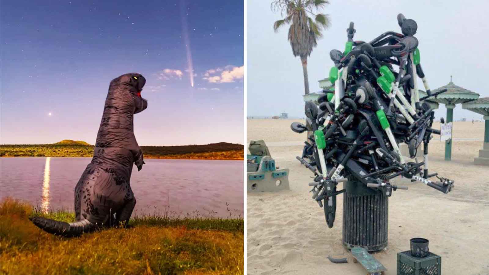 Fascinating and Funny Photos for Your Enjoyment