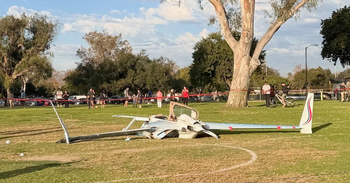 Woman Walking Her Dog Gets Hit by a Plane and Survives