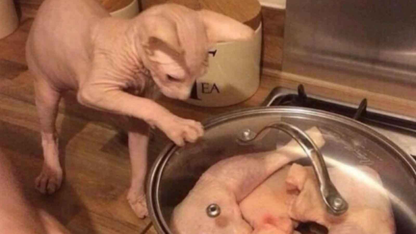 Unsettling Late-Night Pics of Any and Everything