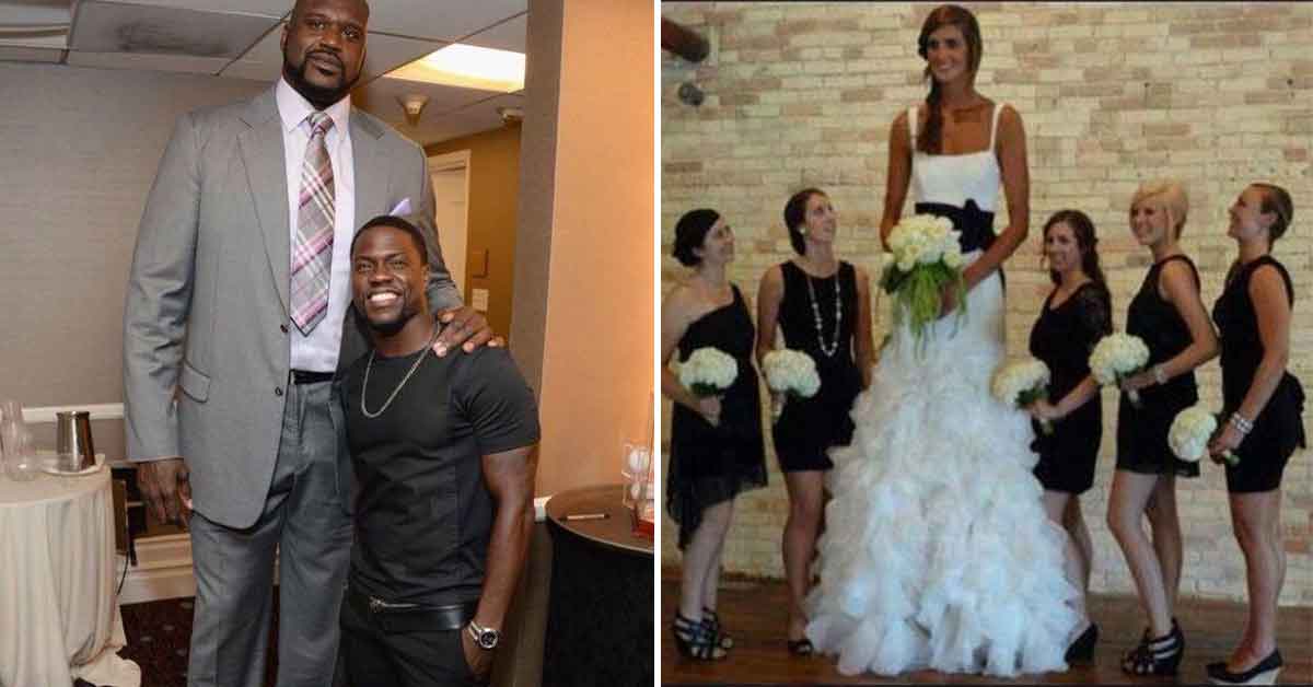 Pics Where Being Tall Isn’t All It’s Cracked Up To Be