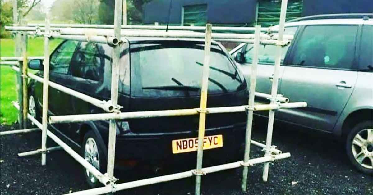 People Who Shared the Fruits of Their Petty Revenge