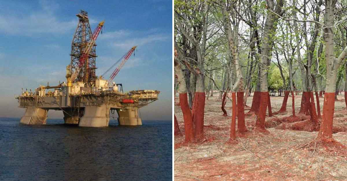 Natural Disaster Tragedies, Photos Before and After