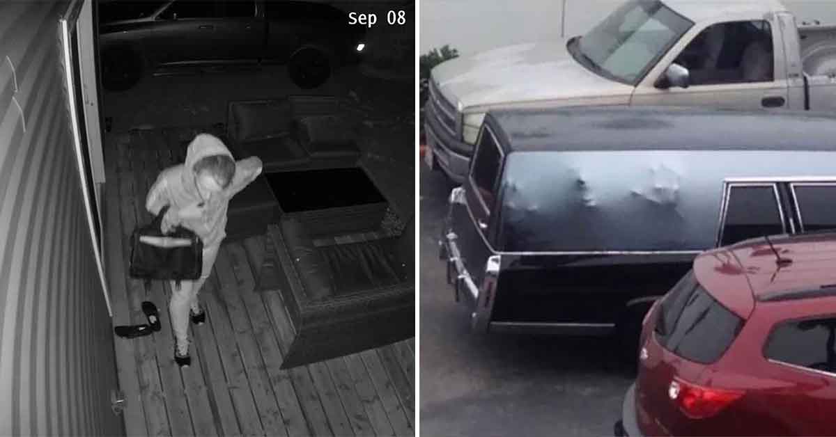 Unsettling Photos of Things We'd Rather Not Run Into