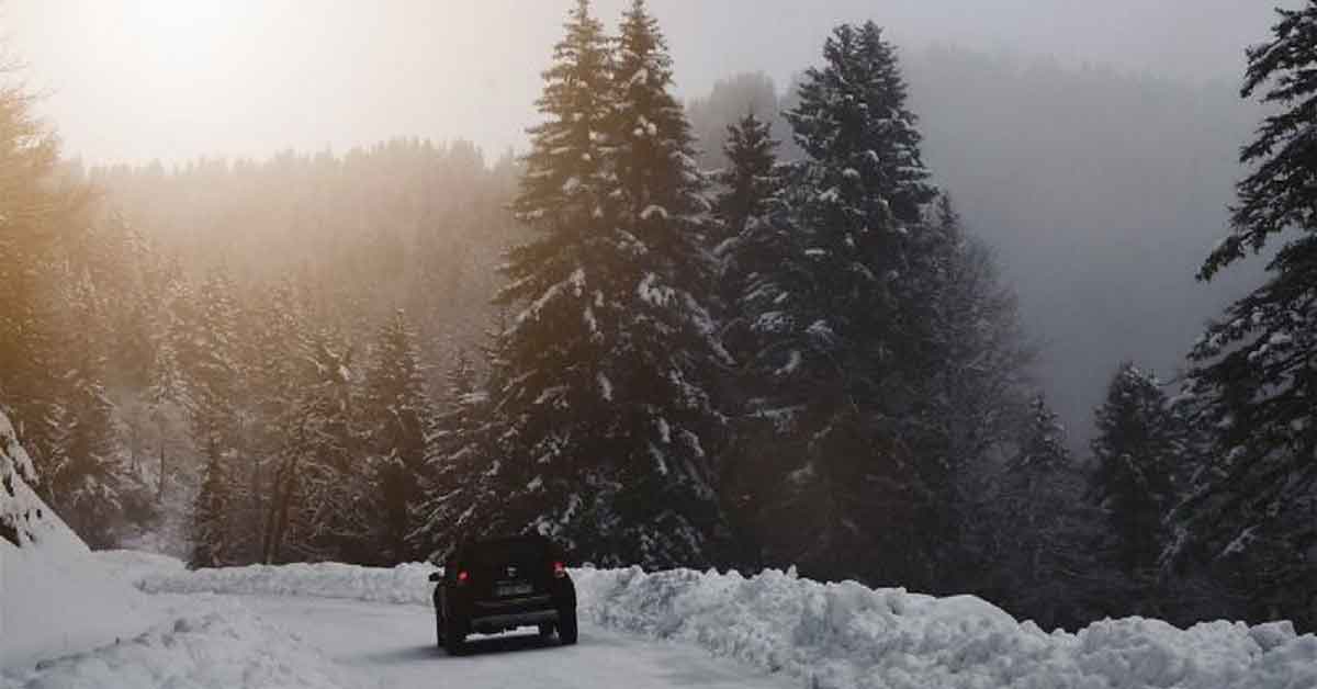 Crucial Tricks and Survival Tips You Could Really Use