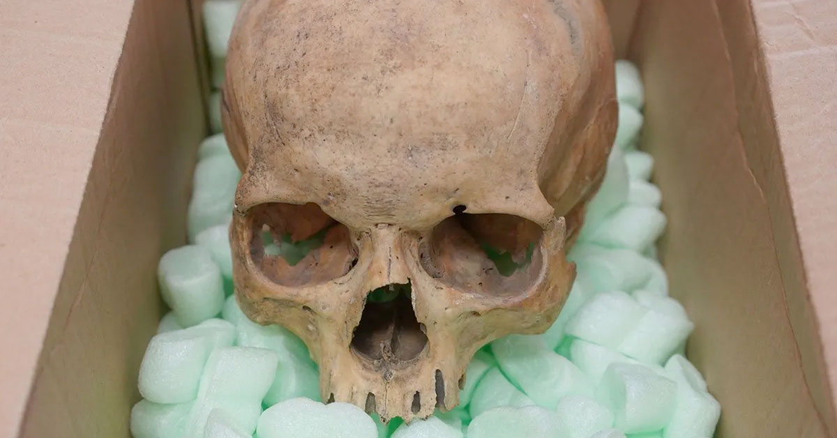 Tourist Who Stole Skull from Church 60 Years Ago Sends It Back With a Note Saying ‘Sorry’